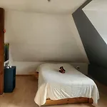 Cosy A 5mn Du Parc Des Expositions * Кольмар
