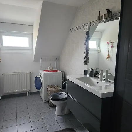 Cosy A 5mn Du Parc Des Expositions * Colmar