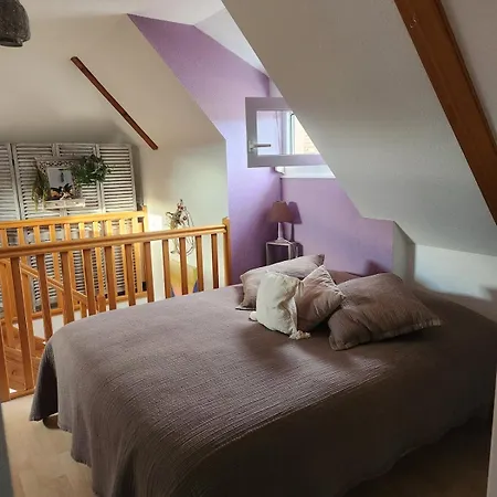Cosy A 5mn Du Parc Des Expositions Апартаменти Кольмар